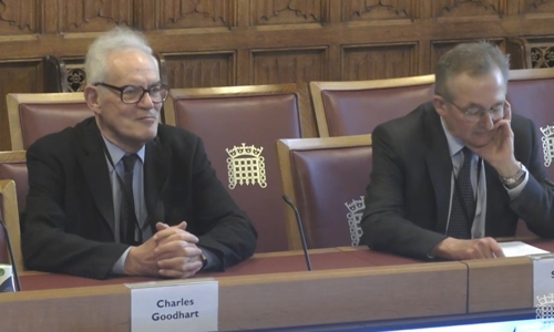 Charles Goodhart in Parliament giving evidence on how sustainable the national debt is