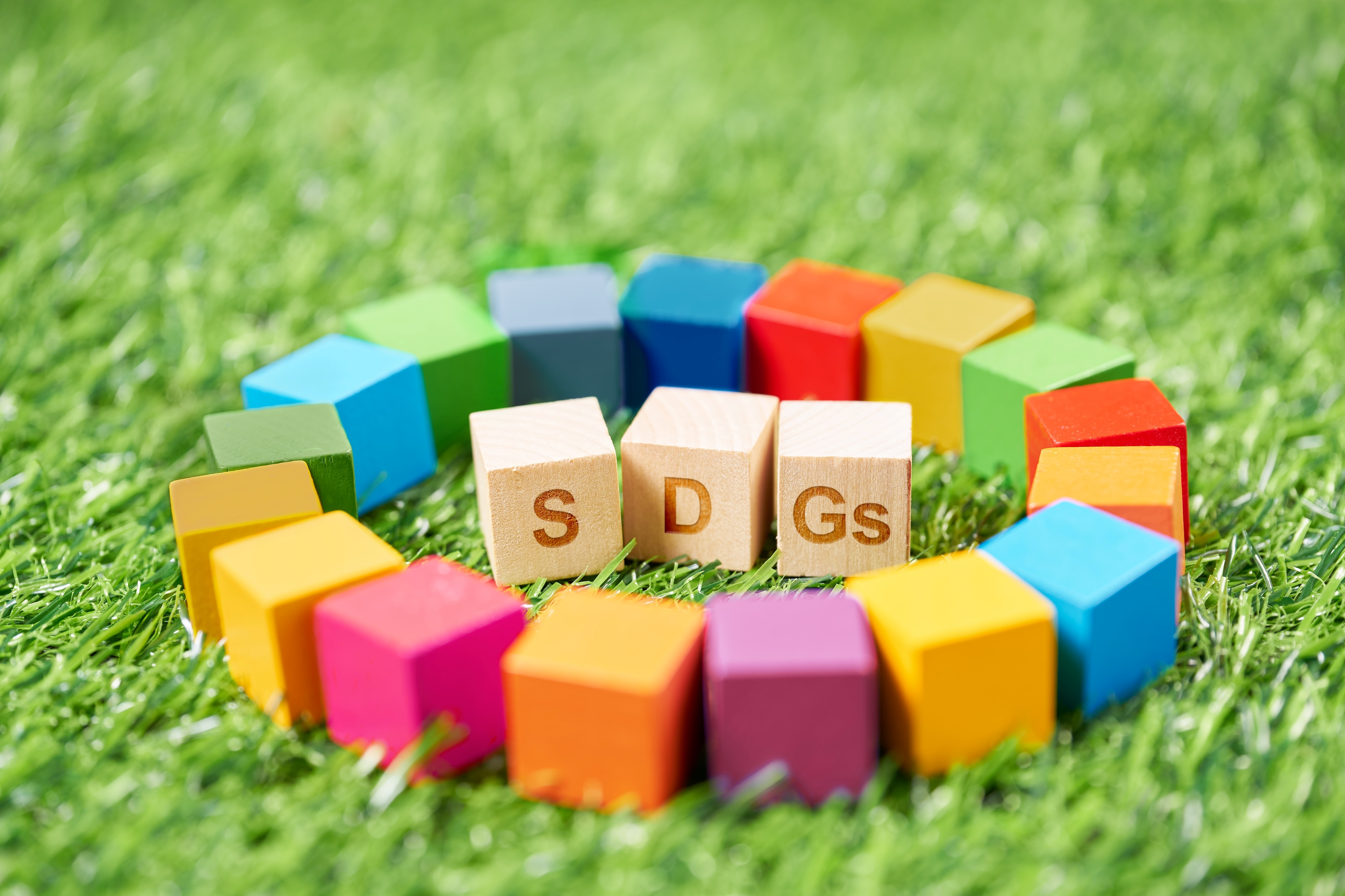 SDGs - #sustainable #development #goals