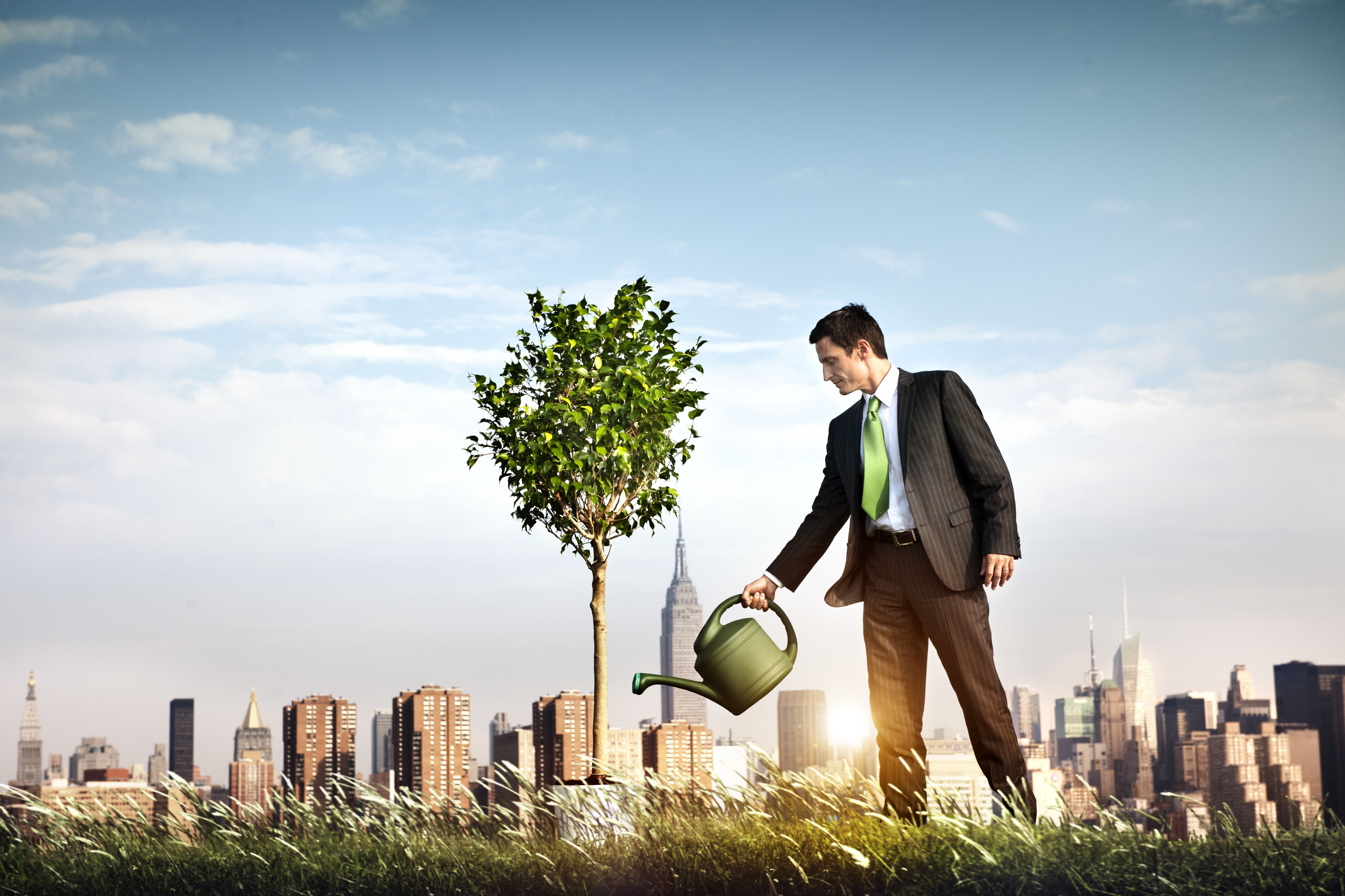 Businessman watering a tree, #sustainability